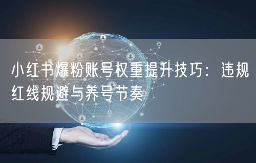 小红书爆粉账号权重提升技巧：违规红线规避与养号节奏